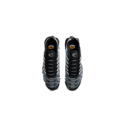 Nike Air Max Plus TN 'Black/Metallic Silver/White'