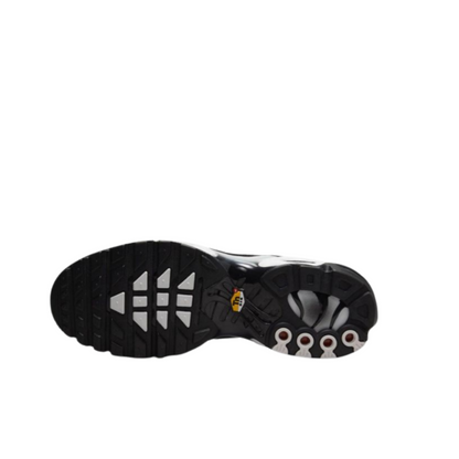 Nike Air Max Plus TN 'Black/Metallic Silver/White'