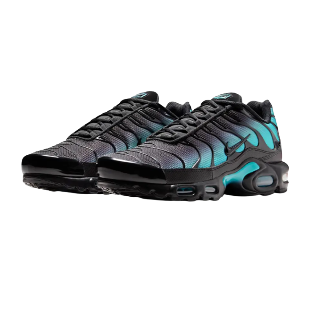 Nike Air Max Plus TN 'Dusty Cactus'