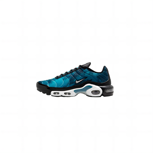 Nike Air Max Plus TN 'Black Dusty Cactus'