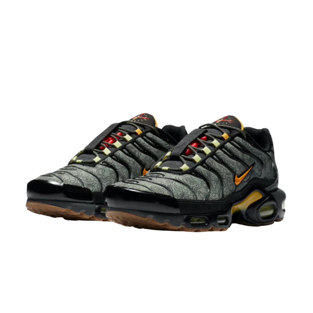 Nike Air Max Plus TN 'Fresh Perspective'