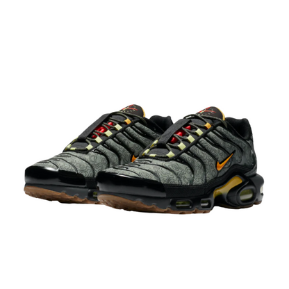 Nike Air Max Plus TN 'Fresh Perspective'