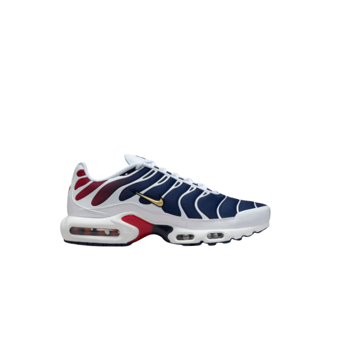 Nike Air Max Plus TN 'PSG Home Kit'
