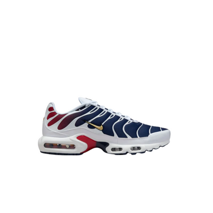 Nike Air Max Plus TN 'PSG Home Kit'