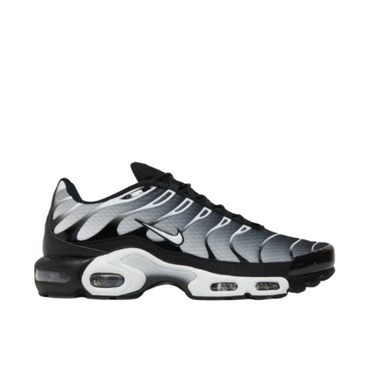 Nike Air Max Plus TN 'Black/Metallic Silver/White'